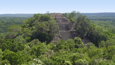 Overgrown temple at Calakmul, a mayan archaeological site in the mexican state of Campeche