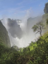 The Victoria Falls in Zimbabwe