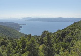 Coastal scenery at Skiathos which is one of the greek Sporades islands