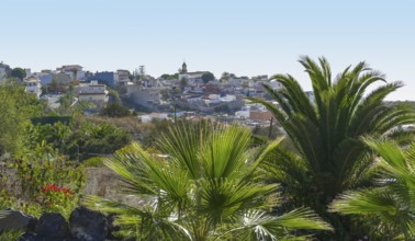 Small town named Chio located at Tenerife, part of the Canary Islands at Spain
