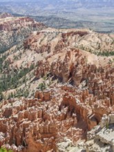 Aerial view at the Bryce Canyon National Park located in Utah in USA