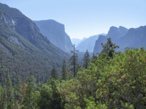 Idyllic panoramic view at the Yosemite National Park in California, USA