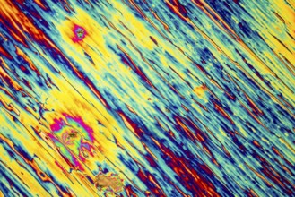 Microscopic shot of urea micro crystals in polarized light