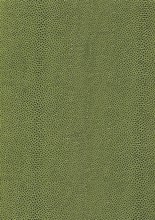 Full frame green abstract cellular background
