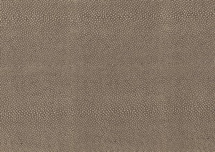 Full frame brown abstract cellular background