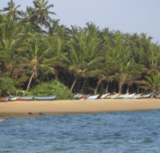 Tropical beach scenery with lots of boats seen in Sri lanka