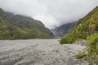 Scenery around the Franz Josef Glacier on the West Coast at the South Island of New Zealand
