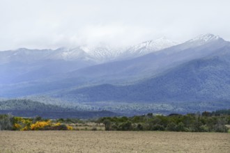 Landscape around Dunedin at the South Island of New Zealand