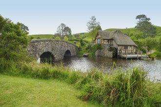 Idyllic scenery at The Shire represented by a region near Matama at the North Island of New Zealand
