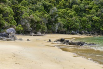 Coastal sunny scenery at the Abel Tasman National Park in New Zealand