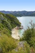 Coastal sunny scenery at the Abel Tasman National Park in New Zealand