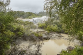 Scenery around the Geothermal Valley Te Puia in New Zealand