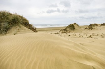 Scenery around the Ninety Mile Beach at the western coast of the North Island of New Zealand