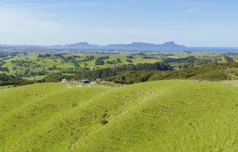 Idyllic rural scenery around the Auckland Region at the North Island of New Zealand