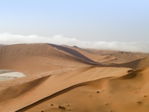 Namib desert scenery around the Sossusvlei area in Namibia