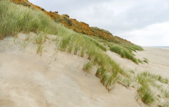 Rotes Kliff at Sylt, part of the North Frisian Islands in Germany