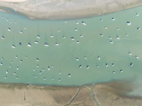 Sports and fishing boats at low tide near the fishing village of Sancti Petri. In the marshland of