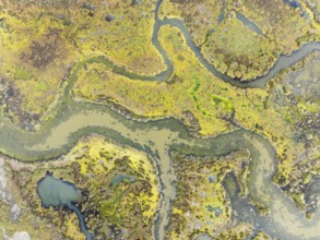 Marshland at low tide. Nature Reserve La Breña y Marismas del Barbate. Aerial view. Drone shot.