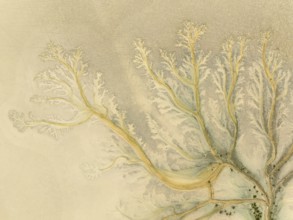 Abstract patterns at low tide in the marshland of the Nature Reserve La Breña y Marismas del