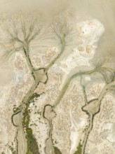 Abstract patterns at low tide in the marshland of the Nature Reserve La Breña y Marismas del