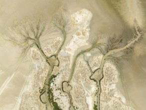 Abstract patterns at low tide in the marshland of the Nature Reserve La Breña y Marismas del