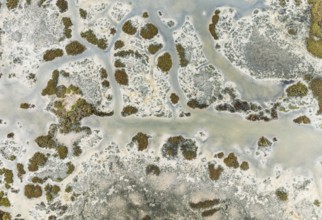 Marshland at low tide. Nature Reserve La Breña y Marismas del Barbate. Aerial view. Drone shot.