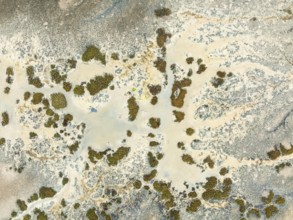 Marshland at low tide. Nature Reserve La Breña y Marismas del Barbate. Aerial view. Drone shot.