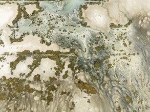 Marshland at low tide. Nature Reserve La Breña y Marismas del Barbate. Aerial view. Drone shot.