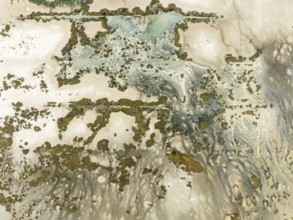 Marshland at low tide. Nature Reserve La Breña y Marismas del Barbate. Aerial view. Drone shot.