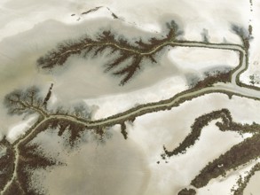 Abstract patterns at low tide in the marshland of the Nature Reserve La Breña y Marismas del