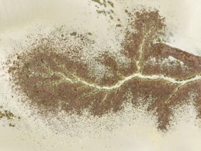 Abstract patterns at low tide in the marshland of the Nature Reserve La Breña y Marismas del
