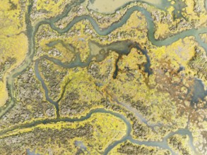 Marshland at low tide. Nature Reserve La Breña y Marismas del Barbate. Aerial view. Drone shot.