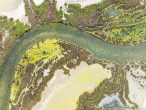 Marshland at low tide. Nature Reserve La Breña y Marismas del Barbate. Aerial view. Drone shot.