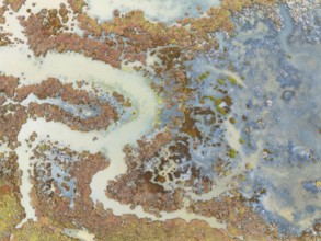 Marshland at low tide. Nature Reserve La Breña y Marismas del Barbate. Aerial view. Drone shot.