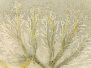 Abstract patterns at low tide in the marshland of the Nature Reserve La Breña y Marismas del
