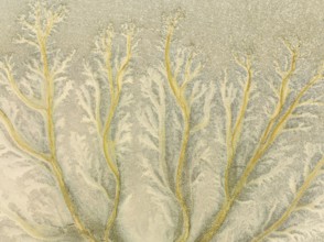 Abstract patterns at low tide in the marshland of the Nature Reserve La Breña y Marismas del