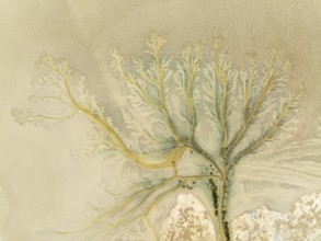 Abstract patterns at low tide in the marshland of the Nature Reserve La Breña y Marismas del