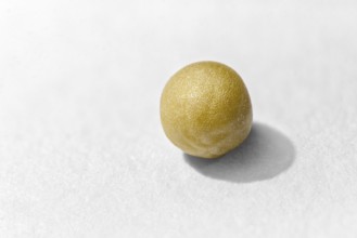 Macro shot of a mustard seed on white paper surface