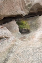 Granite boulder detail around Perros-Guirec at the Pink Granite Coast in Brittany, France