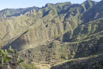 Impression around a mountain range named Macizo de Anaga at the island Tenerife in the Canary