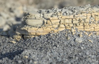 Closeup shot of a brittle stone detail