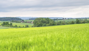 Idyllic rural scenery in Hohenlohe, a area in Southern Germany