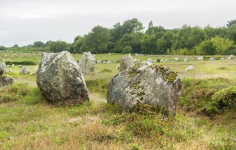 Scenery around the Carnac stones, a megalithic site in Brittany, France