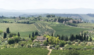 Panoramic scenery located in the Chianti region of Tuscany, an area in Italy (Southern Europe)