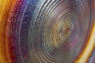 Full frame abstract closeup shot of a colorful metallic asian gong