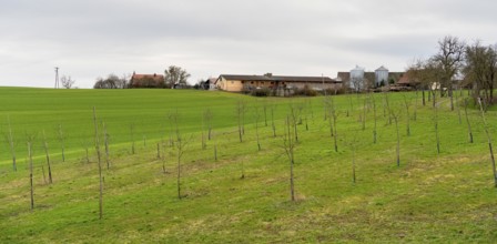 Small rural village with farms and agricultural buildings in Southern Germany at early spring time