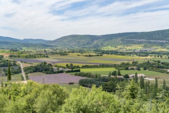 Impression around Mont Ventoux, a mountain in the Provence region of southern France