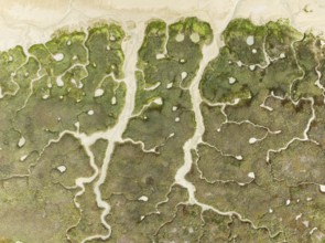 Abstract patterns of dry streams at low tide. In the marshland of the Bahía de Cádiz Nature Reserve