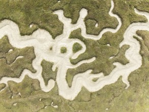 Abstract patterns of dry streams at low tide. In the marshland of the Bahía de Cádiz Nature Reserve
