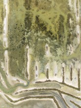 Abandoned saline ponds in the Bahía de Cádiz Nature Reserve. Aerial view. Drone shot. Cádiz